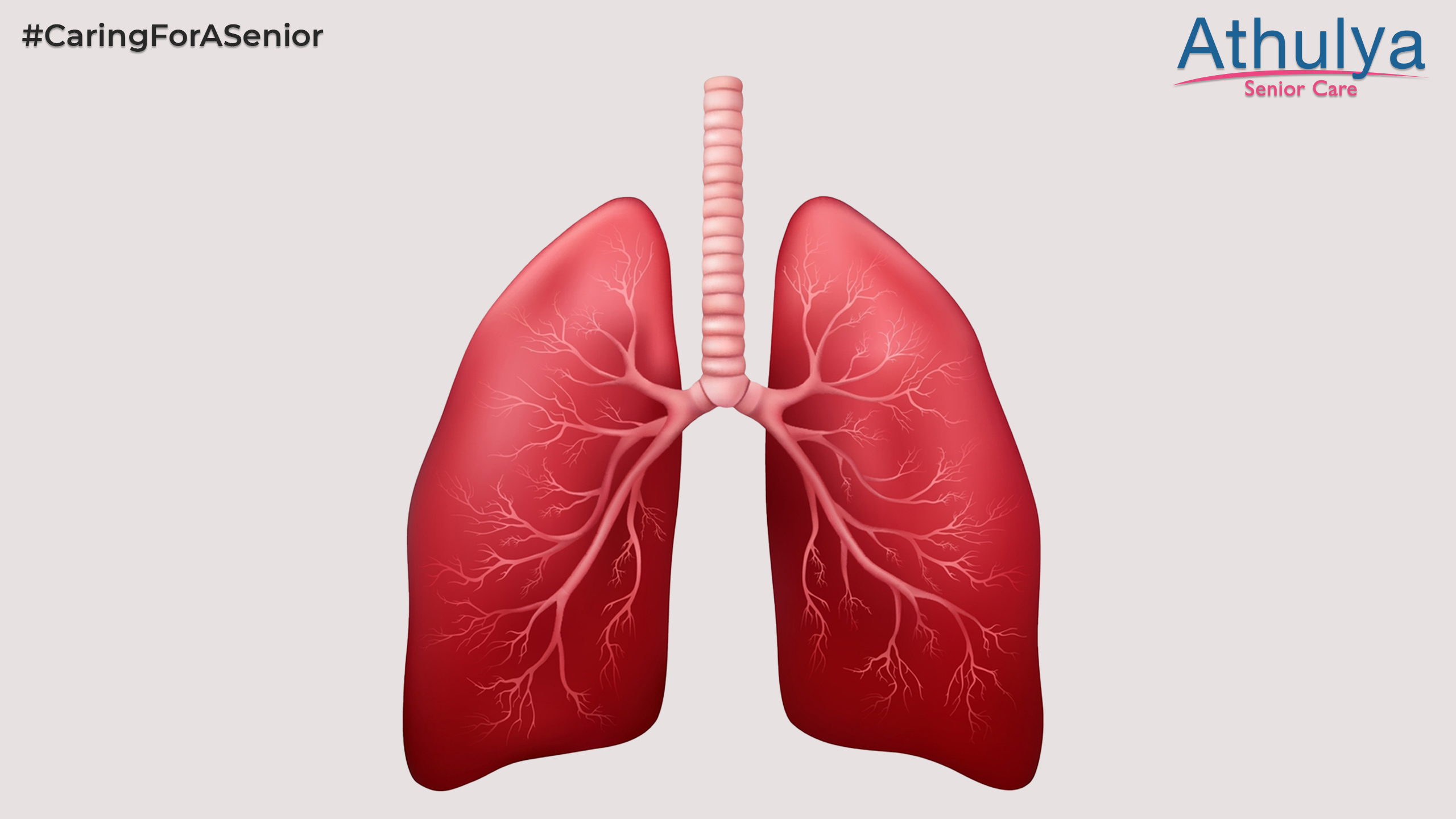 tips for healthy lungs